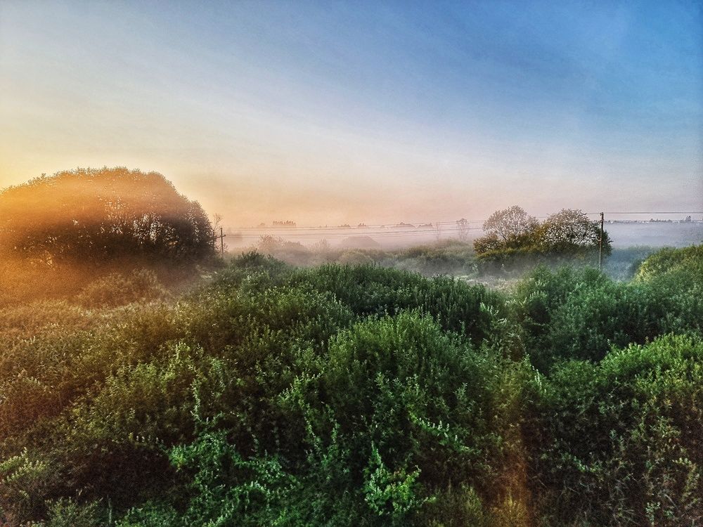 Фотография автора Дана Богинская