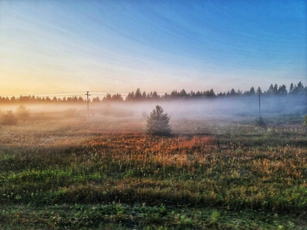 Фотография автора Дана Богинская