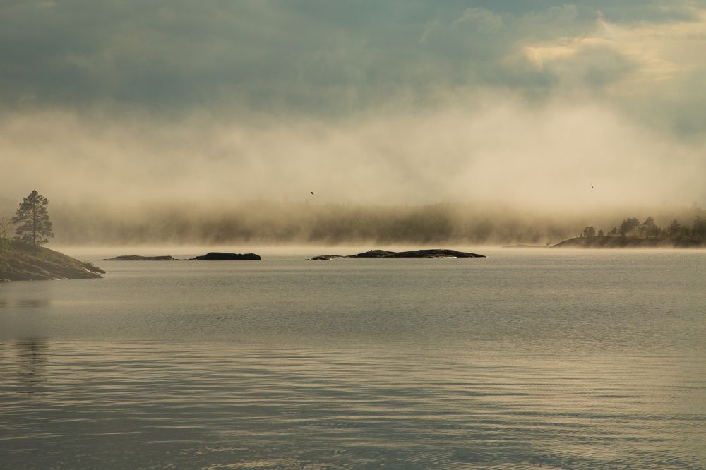 Photograph by Юлия Михайлова