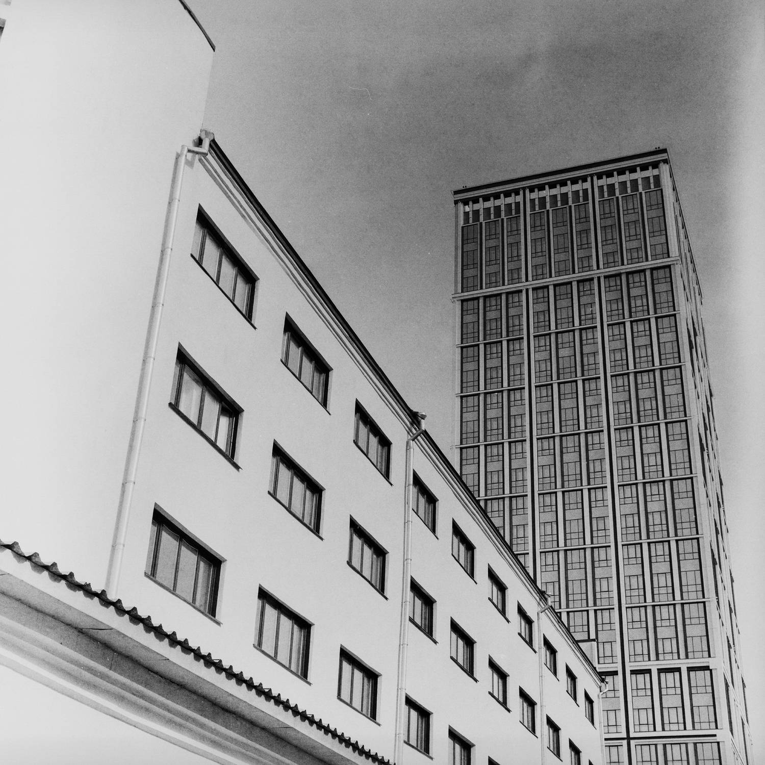 Photo #9279969