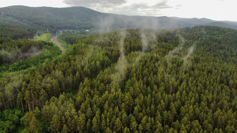 Фотография автора Михаил Кузнецов