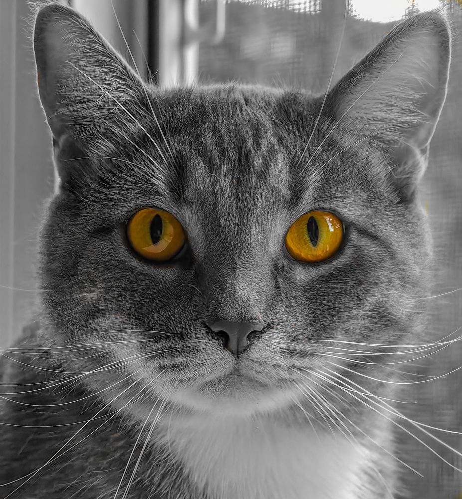 Photograph by Остап Благодатков