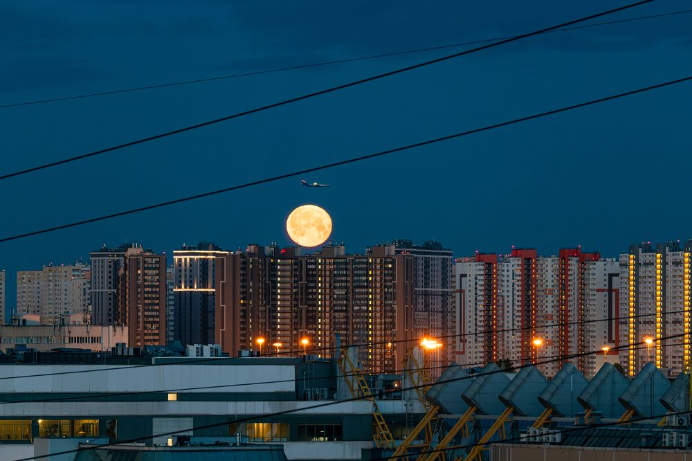 Photograph by Dmitriy Konstantinov