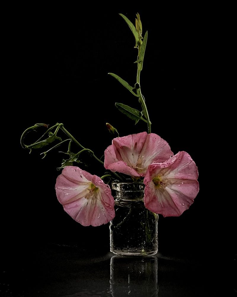 Photograph by Надежда Смирнова