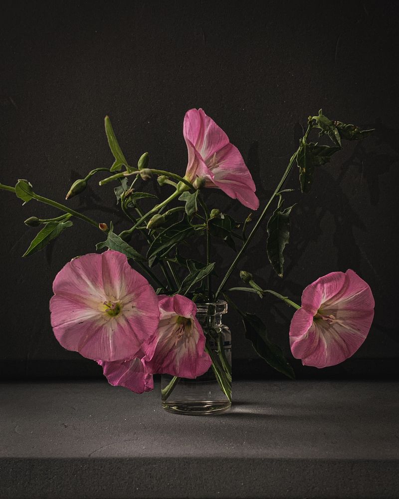 Photograph by Надежда Смирнова