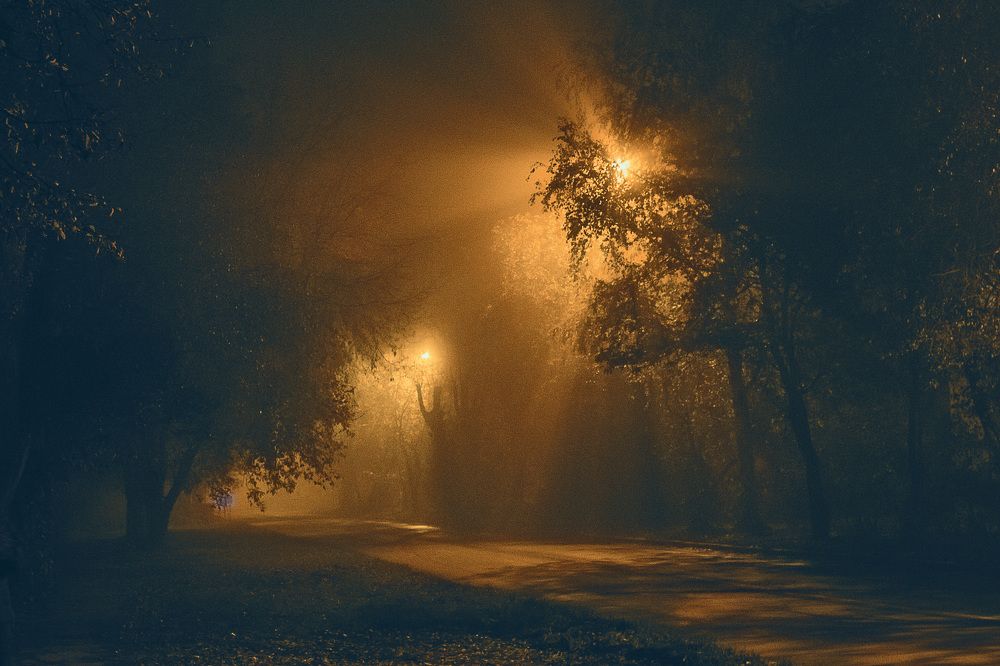 Photograph by Анастасия Глазюк