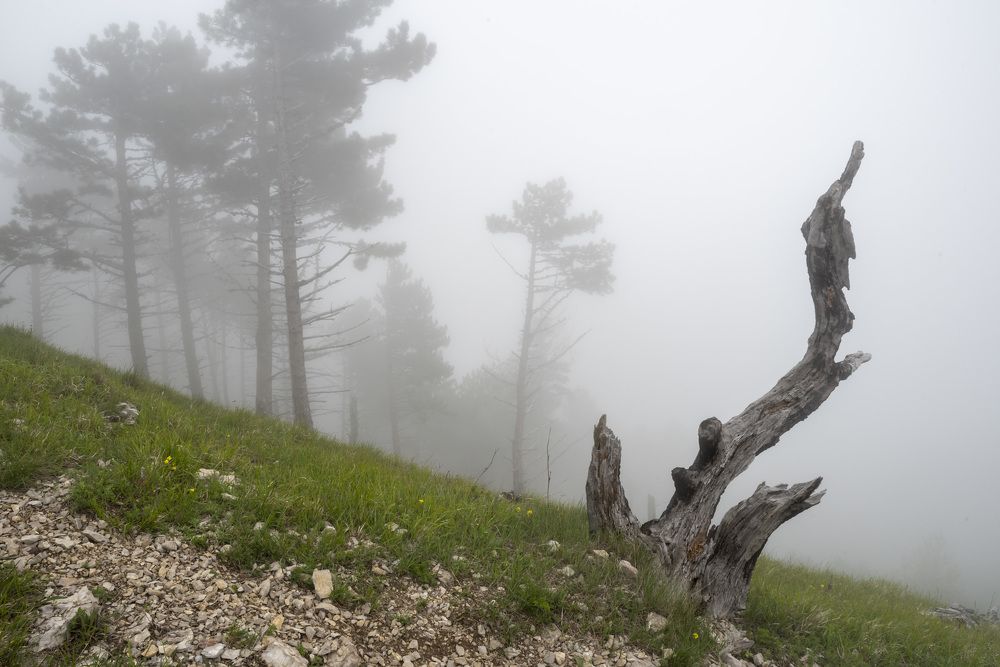 Photograph by Виктор Филипчук