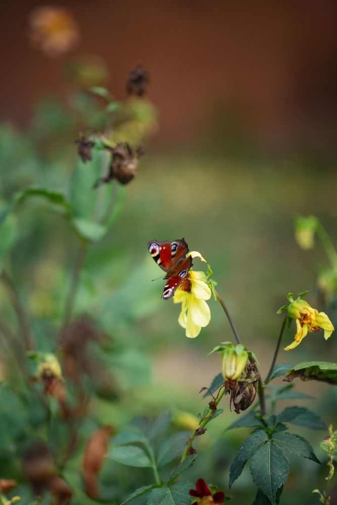 Photograph by Елена Косинова