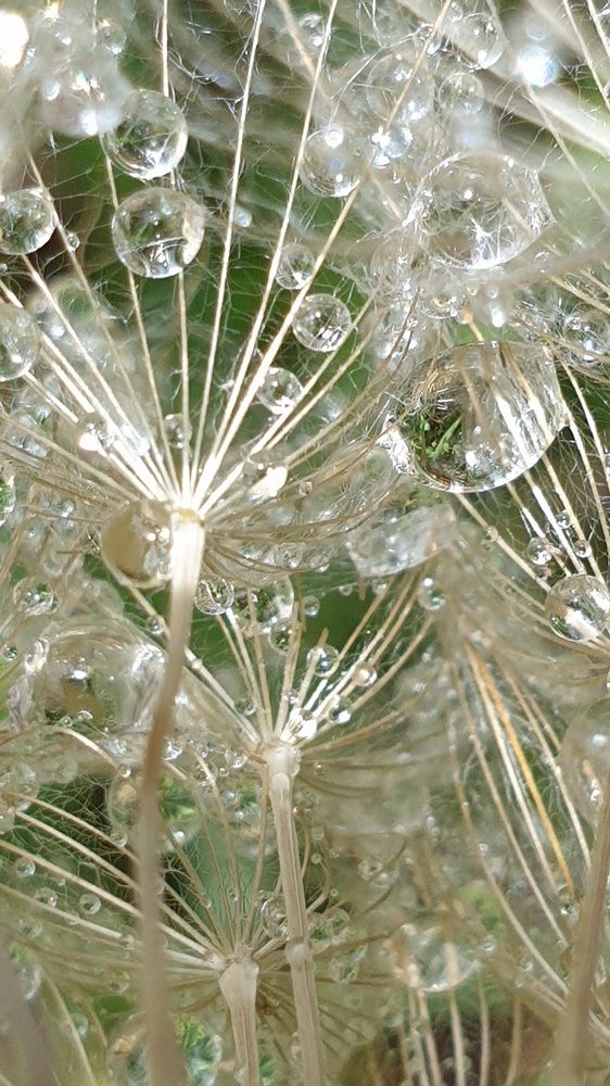 Photograph by Viktorova