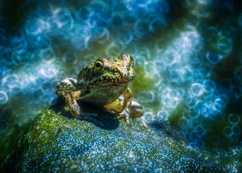 Photograph by Владимир Кваша