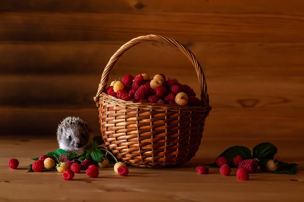 Photograph by Алёна Газукина