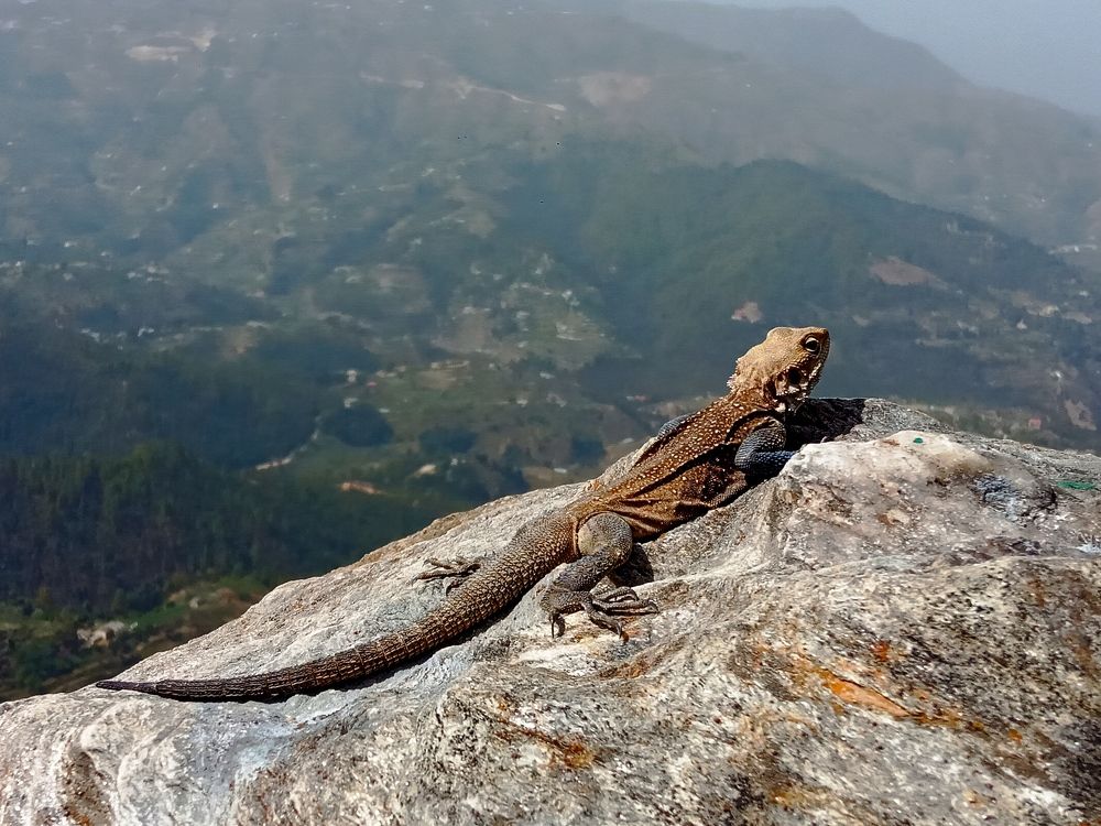 Photograph by Kapil Singh