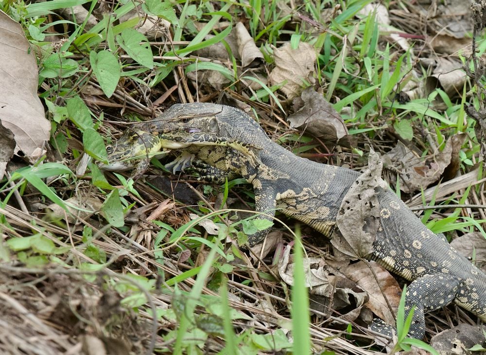 Photograph by Ranjith Kumar