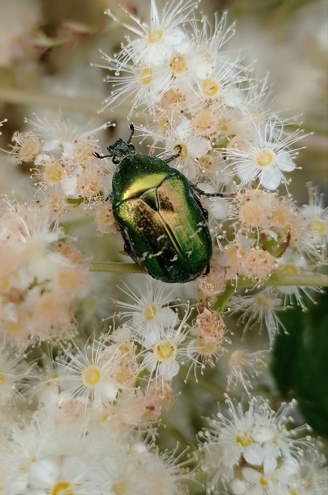 Photograph by Лара