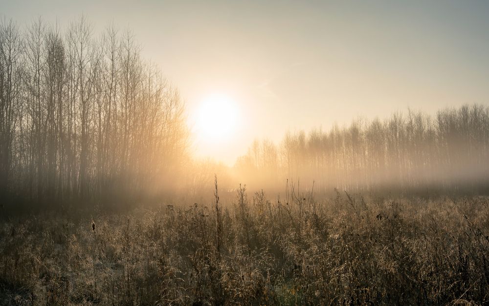 Photograph by Олег Пученков