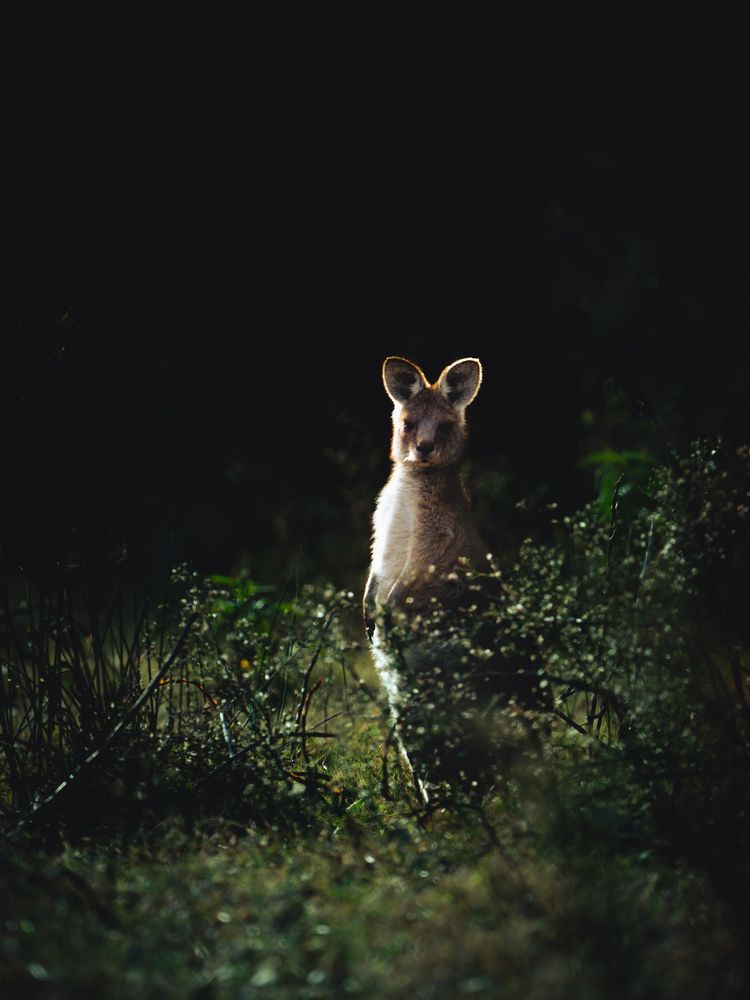 Photograph by Herald Jaison