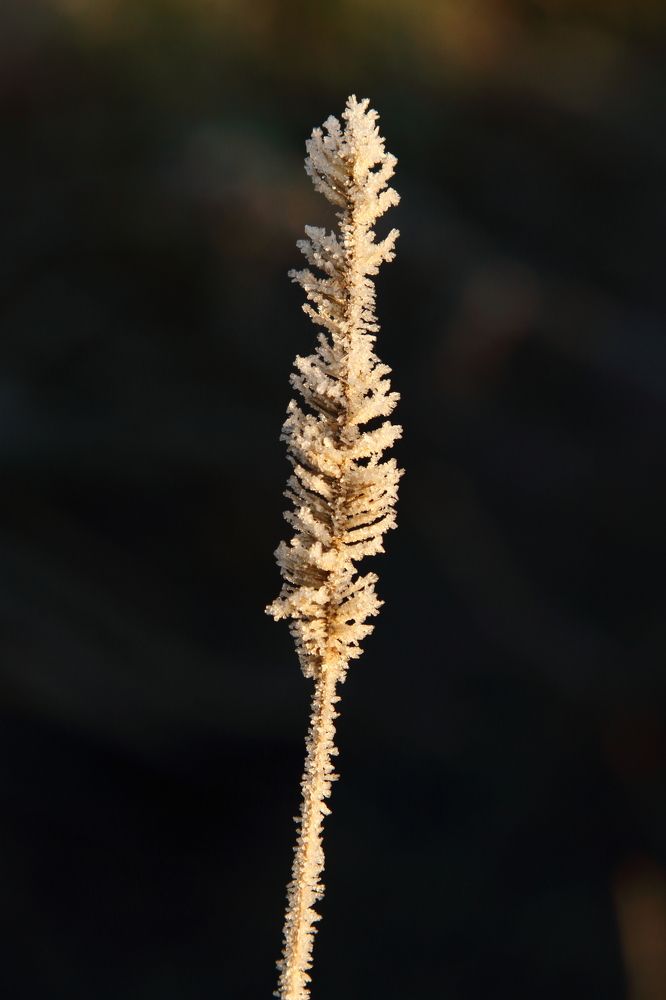 Фотография автора Михаил Кротков