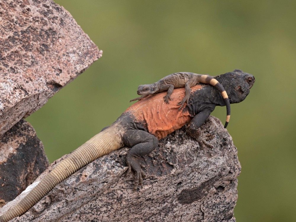 Photograph by Sue Welter