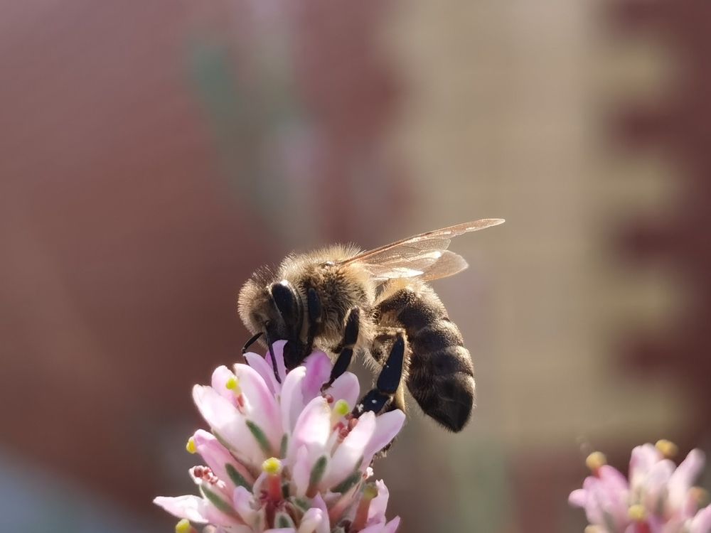 Photograph by Galina Belinskya