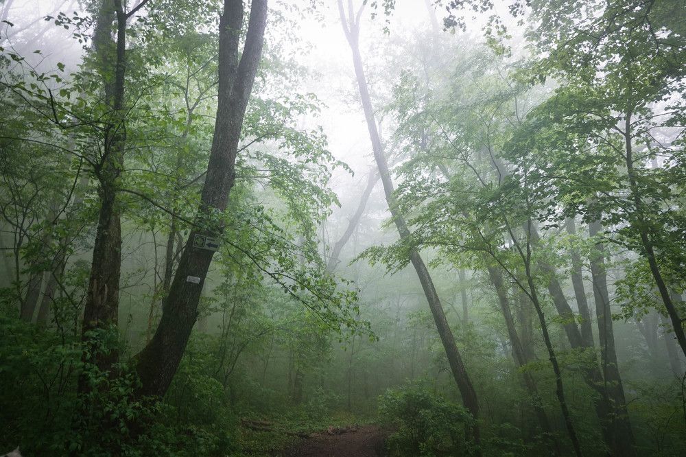 Photograph by Юлия Воронова