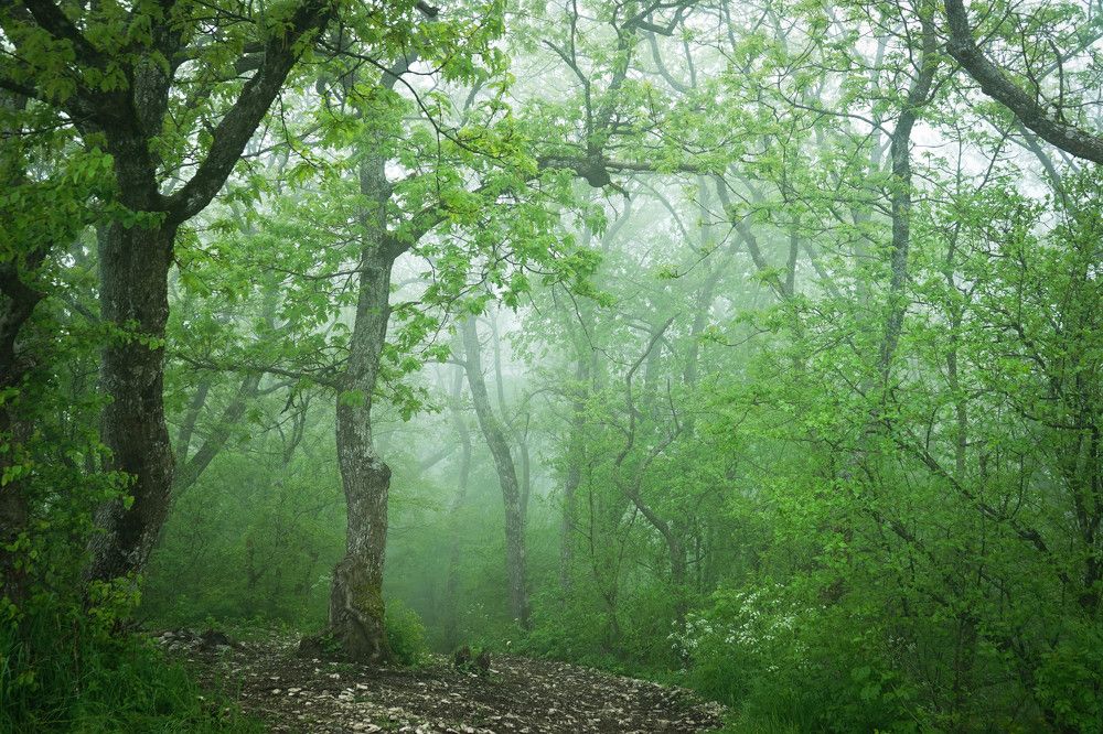 Photograph by Юлия Воронова