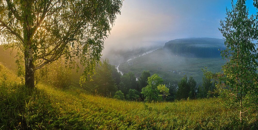 Береза на Немде.