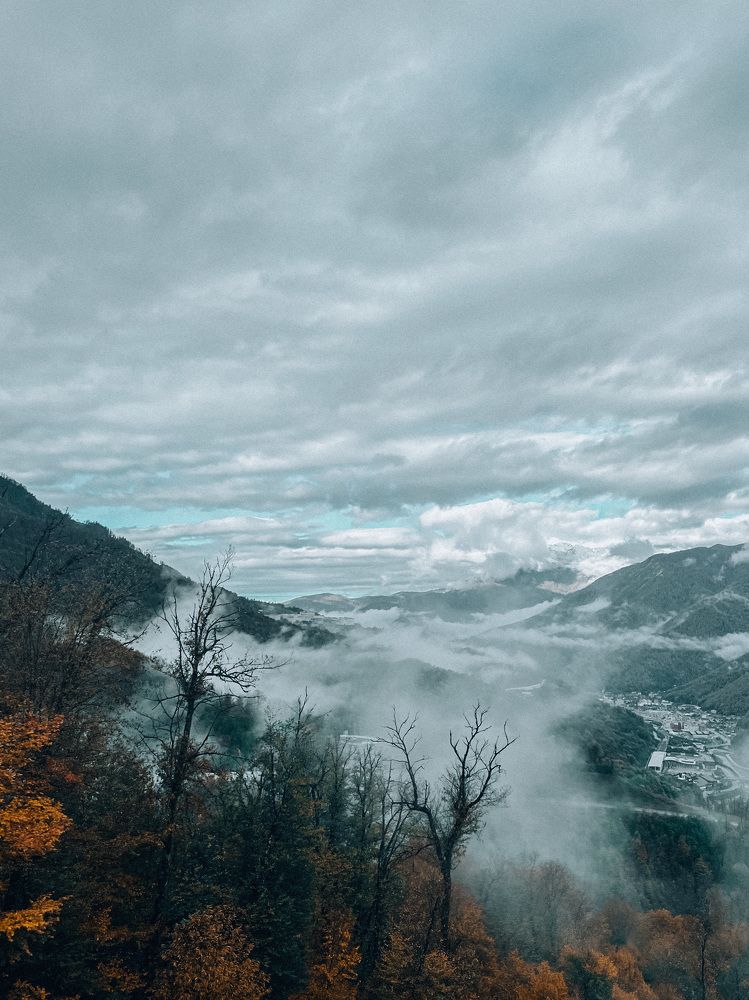 Photograph by Татьяна Санеева