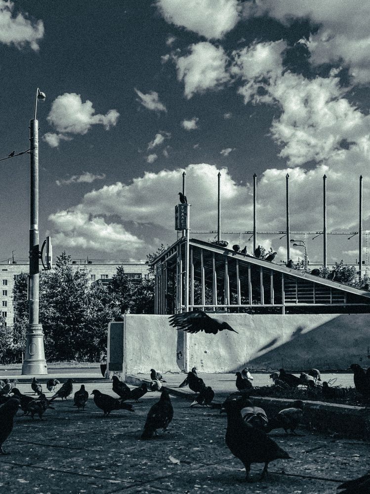 Photograph by Татьяна Санеева