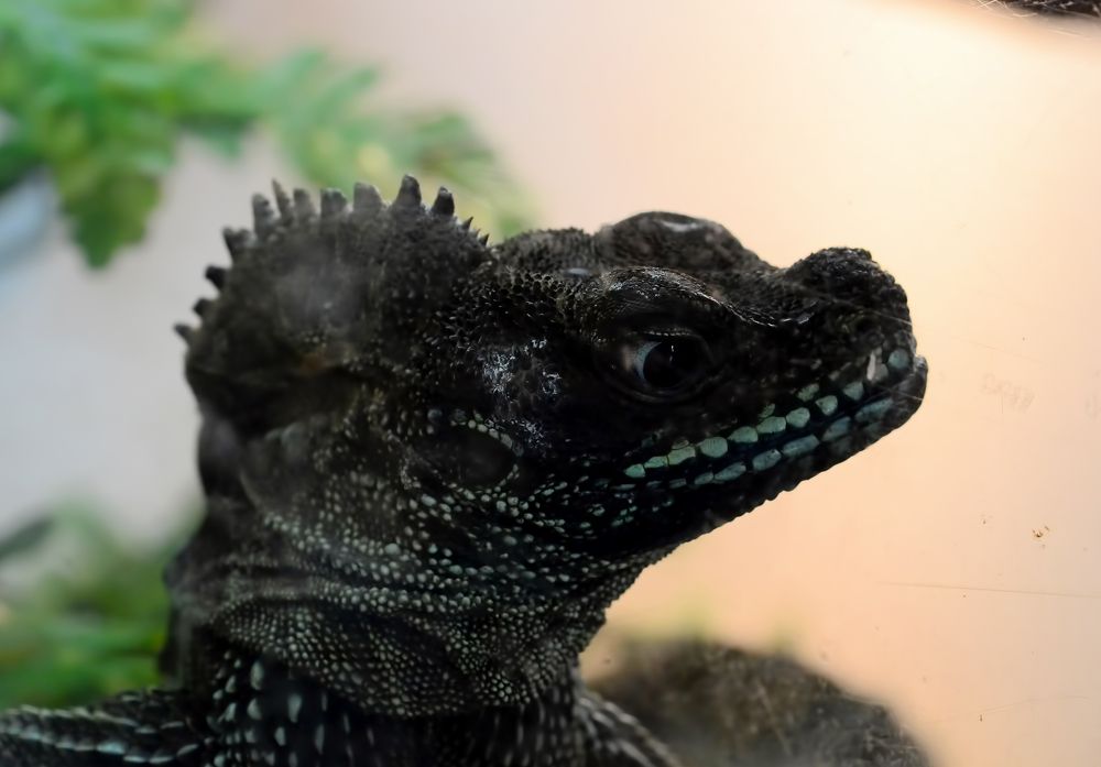 Photograph by Владислав Кравцов