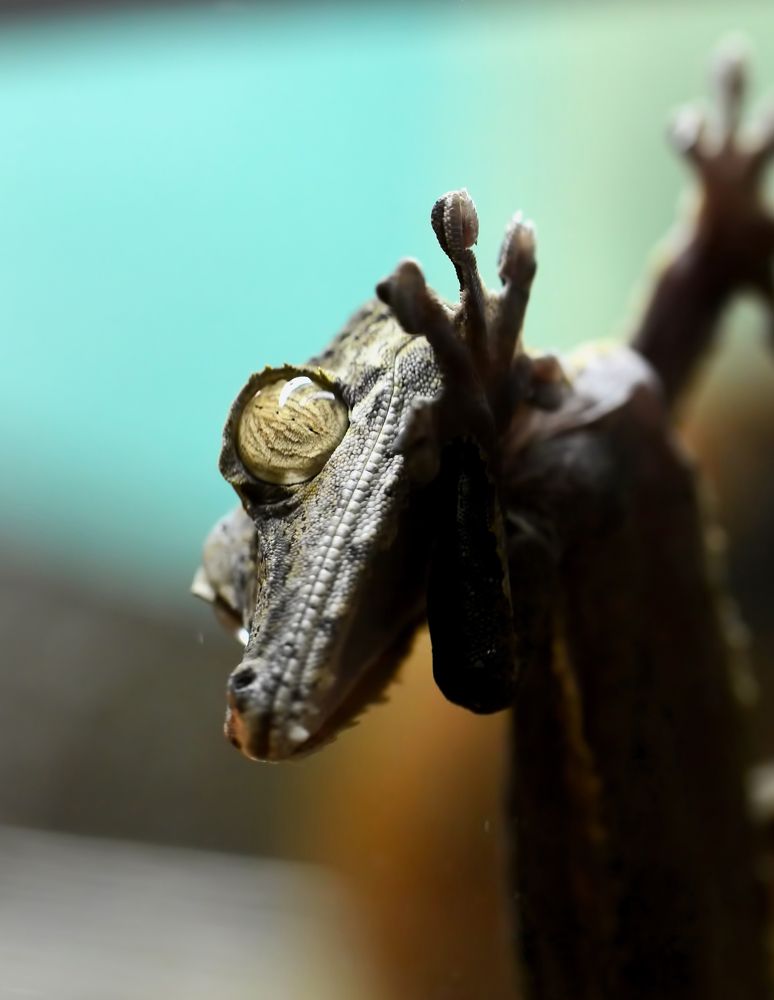 Photograph by Владислав Кравцов