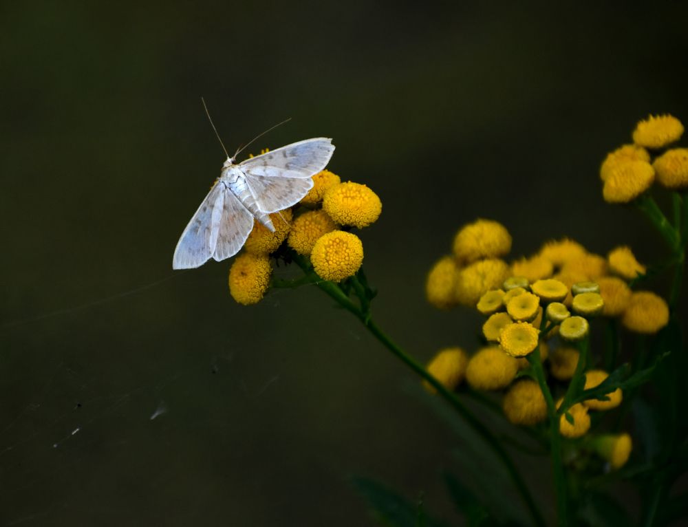 Photograph by Владислав Кравцов