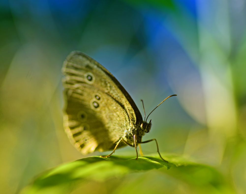 Photograph by Владислав Кравцов