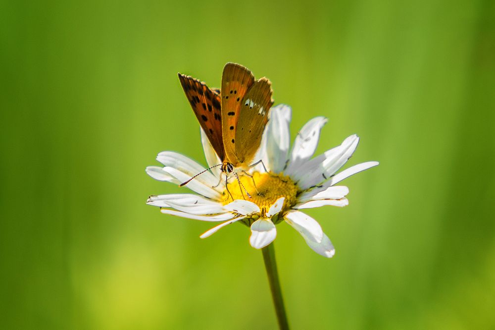 Photograph by Татьяна Семенова