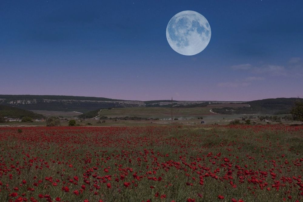 Photograph by Екатерина Игоревна