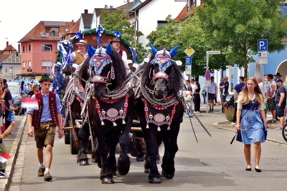 Photograph by backareva irina