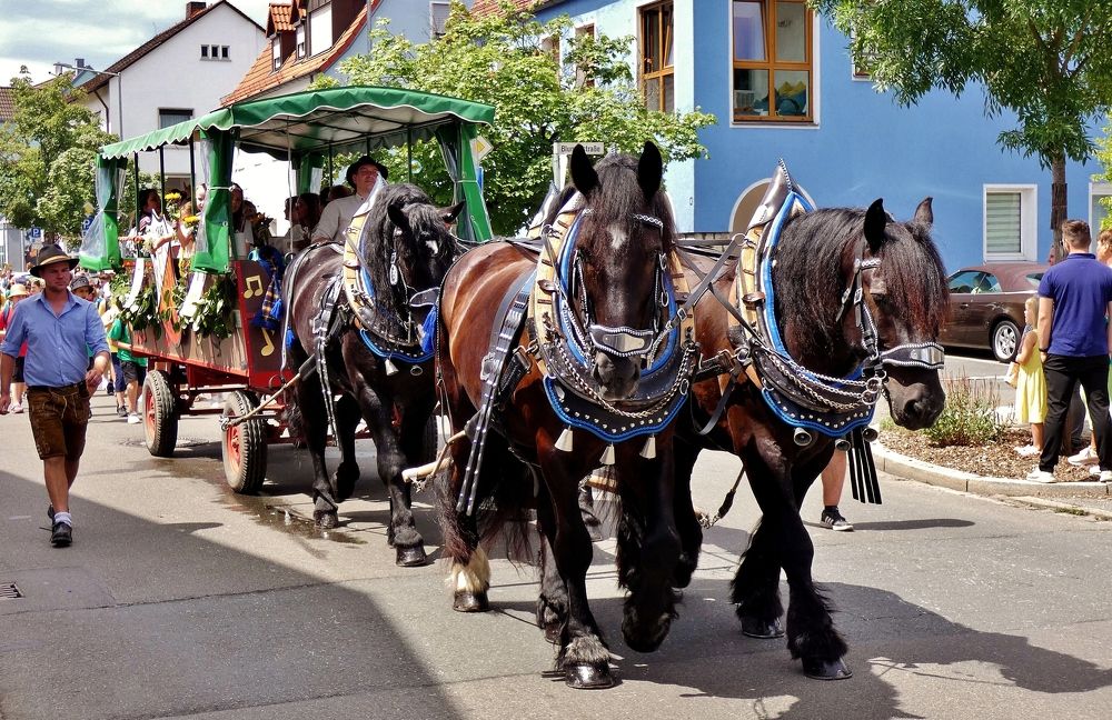 Photograph by backareva irina