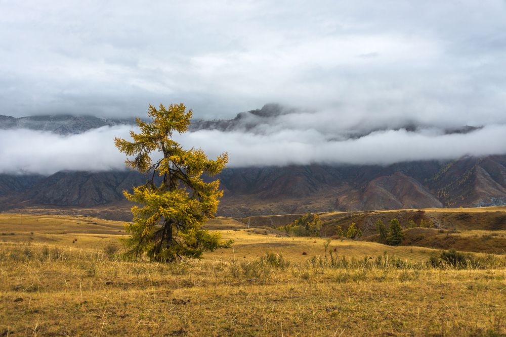 Photograph by Татьяна
