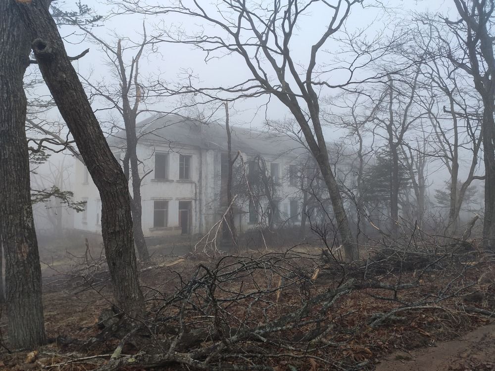 Photograph by Дарья Булавина