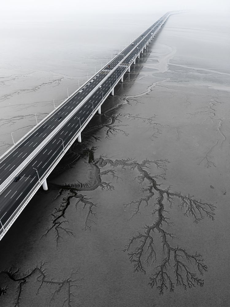 Photograph by jiang sheng