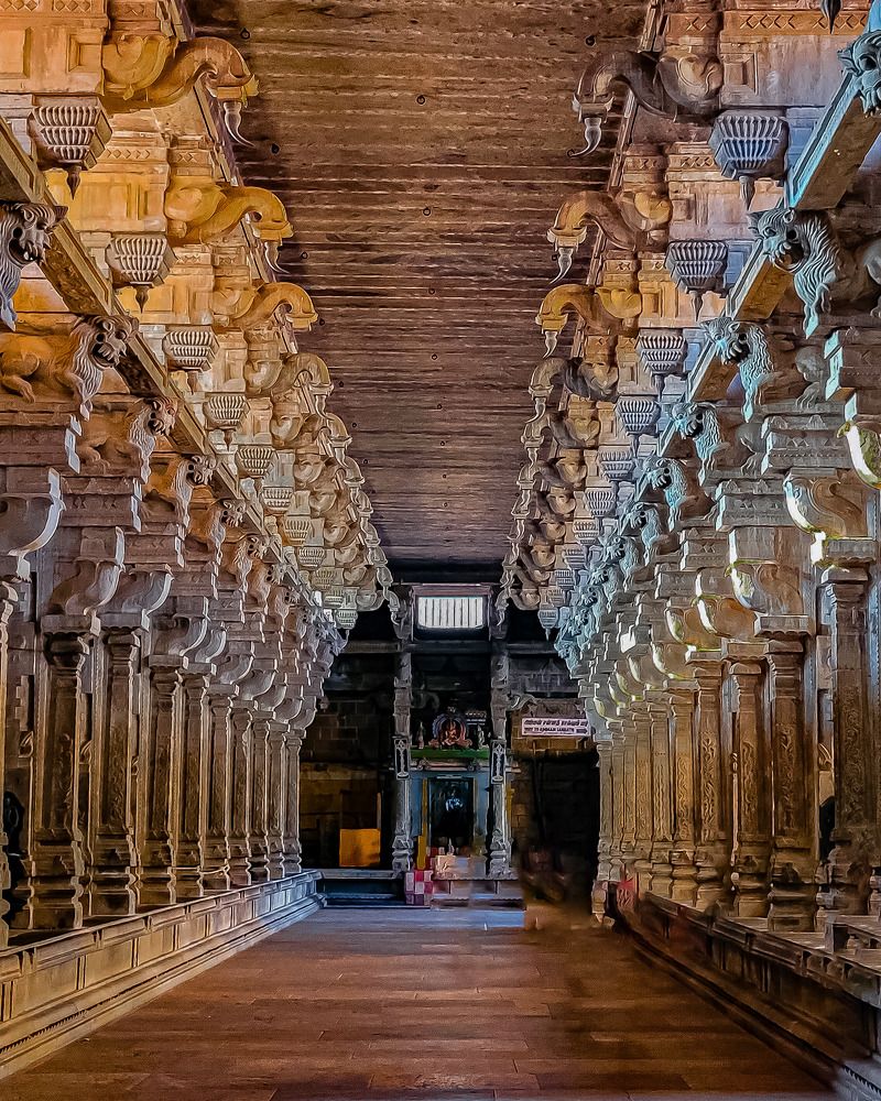 Photograph by Vinoth