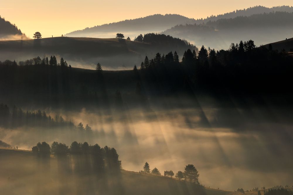 Photograph by Radovan Dziak