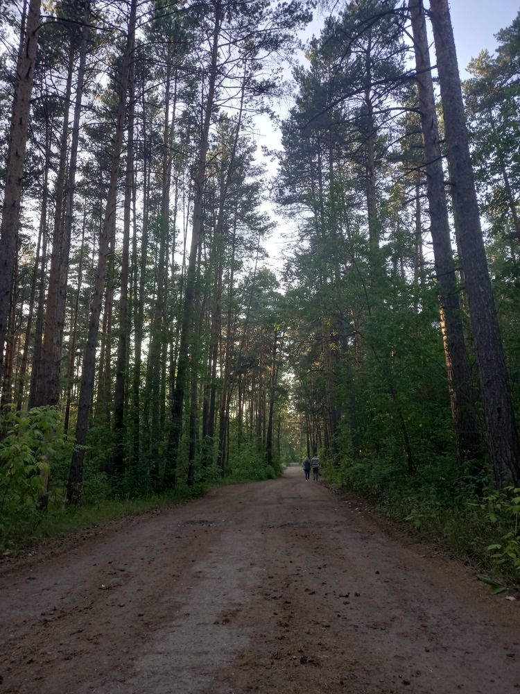 Photograph by Алсу Хусаинова