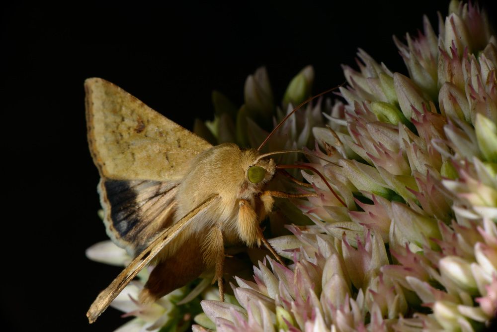Photograph by Римма Волченко