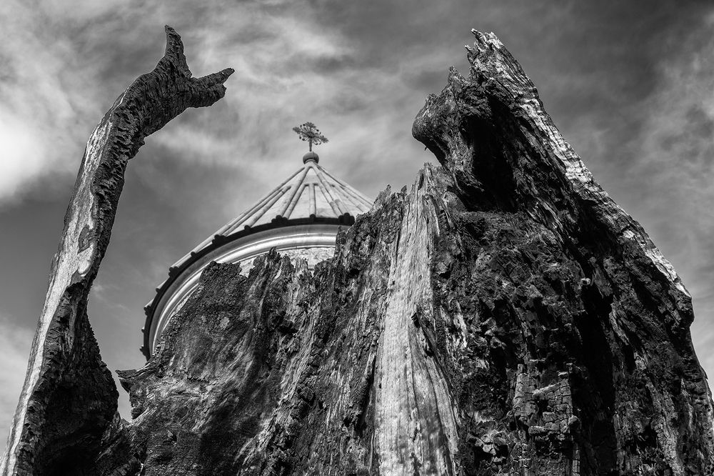 The Phoenix Rises...