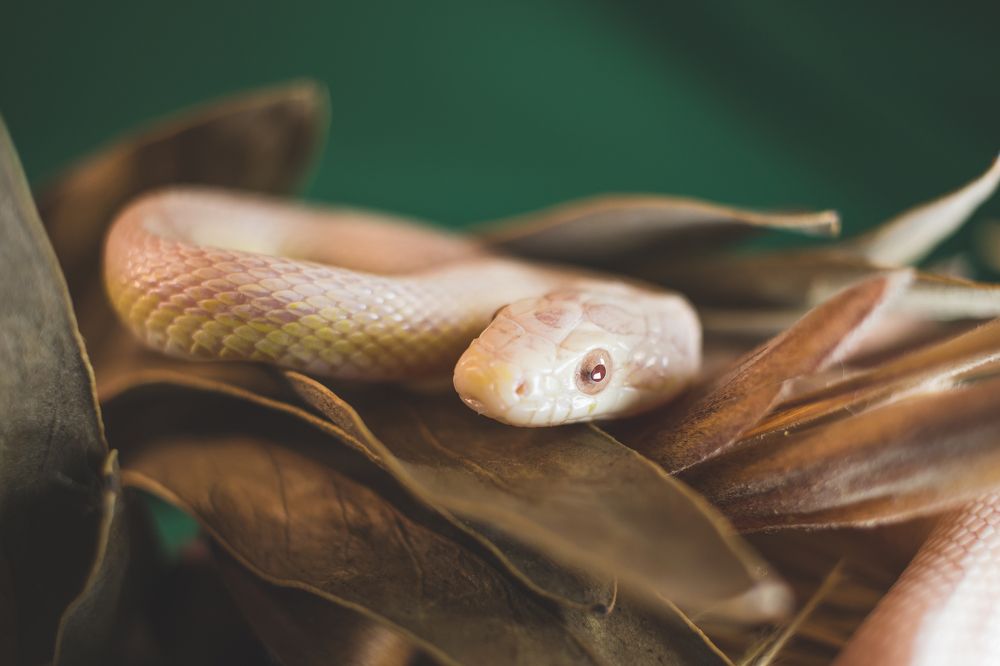 Photograph by Анна Вербилова