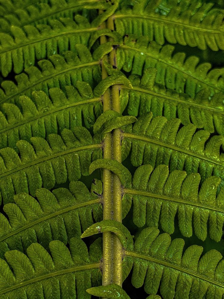 Photograph by Вера Романова