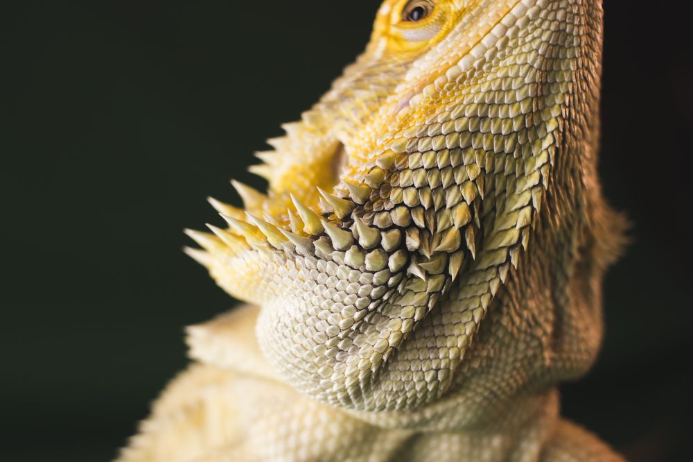 Photograph by Анна Вербилова