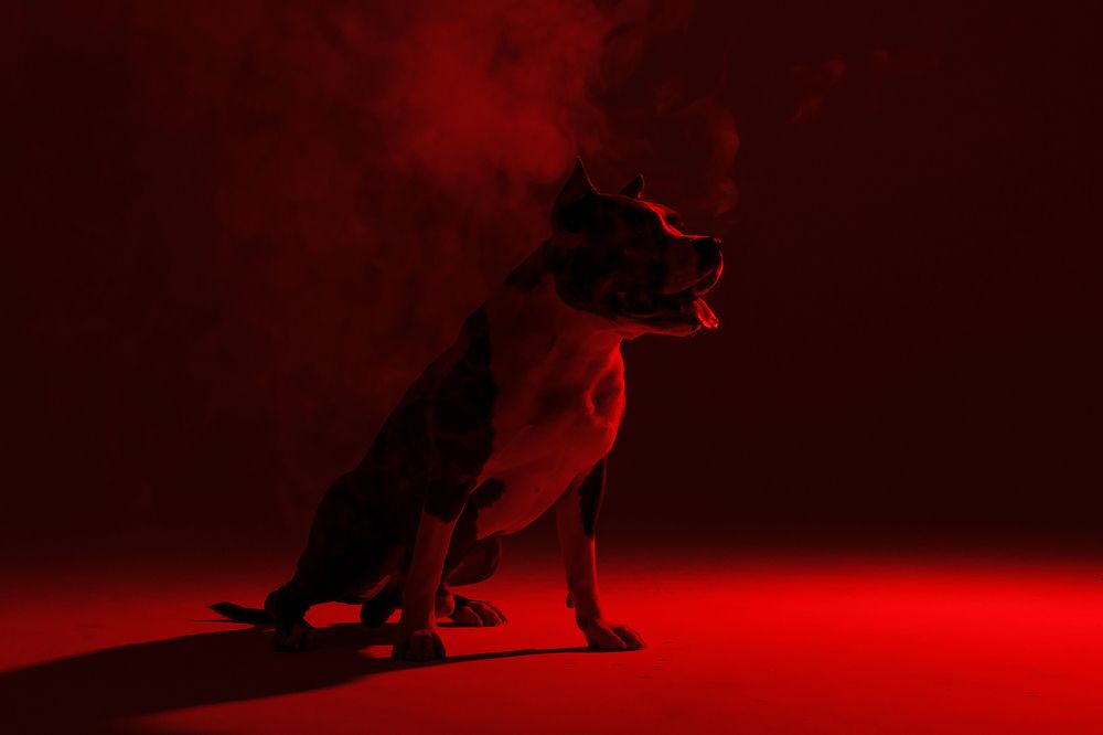 Photograph by Анна Вербилова