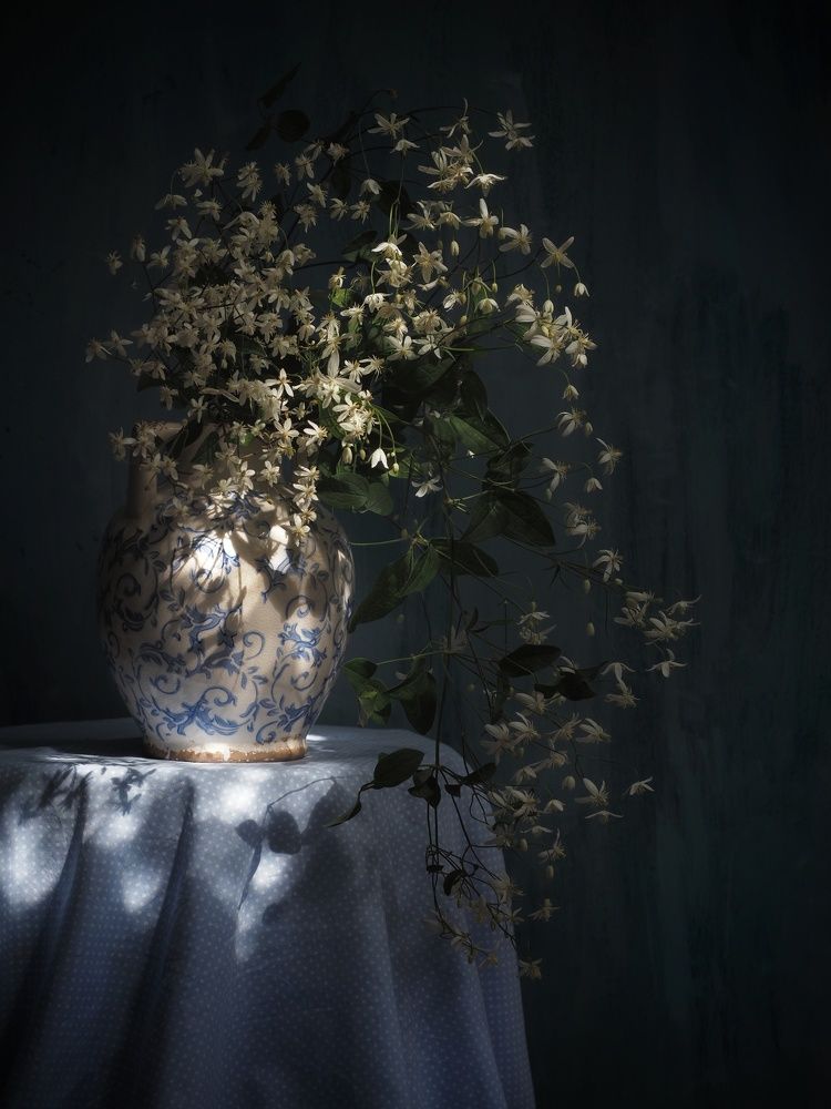 Photograph by EKATERINA