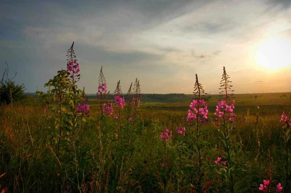 Photograph by Валерий Савостьянов